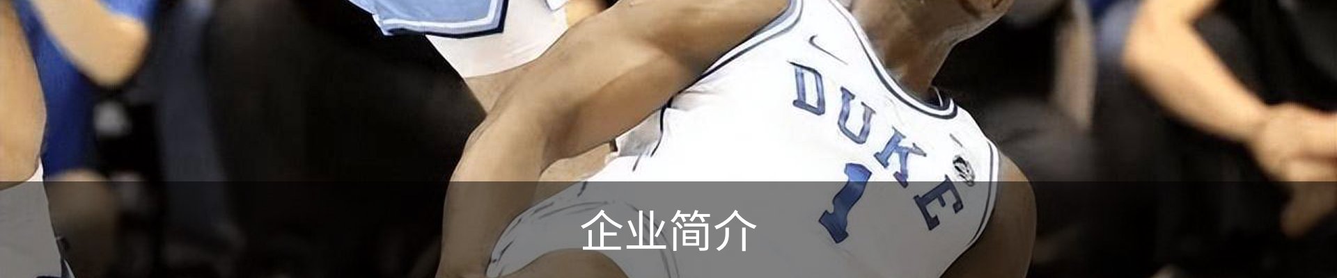 企业简介